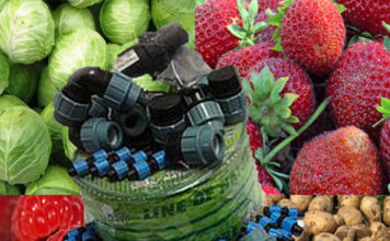 Системы капельного полива: возможности, устройство