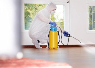 Дезинфекция квартиры от тараканов – как заказать услугу