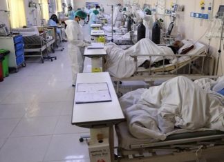 Китайские ученые предупредили о катастрофических последствиях пандемии уже к весне 2021 года