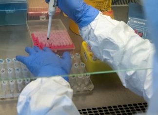 В Дании выявили первый случай заражения штаммом коронавируса из ЮАР