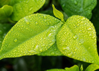 День экологических знаний 2021: какого числа, история и традиции праздника