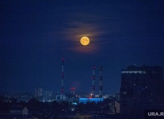 Подземелья, кости, брызги искр и виниловая вечеринка