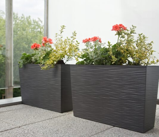 Кашпо оптом: как выбрать идеальные контейнеры для растений и не ошибиться