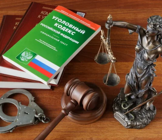 Уголовное право и уголовная юстиция — карьерные перспективы магистров